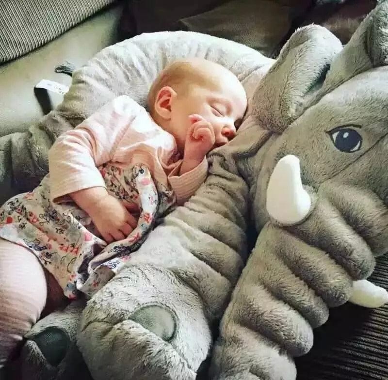 MamboTM BABY ELEPHANT PILLOW