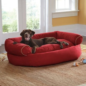 [LAST DAY - 75% OFF] Sofa Dog Bed 2023