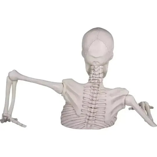 🔥🔥🔥HALLOWEEN SALE 80% OFF🔥Giant Skeleton Groundbreaker