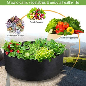 AIVY Growing Bags for Household Plants , Gardening Pots, Elevated Plant Beds, for Planting Flowers and Vegetables