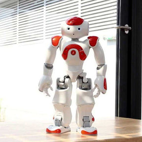 High-Tech Artificial Intelligence Robot（Programmable）